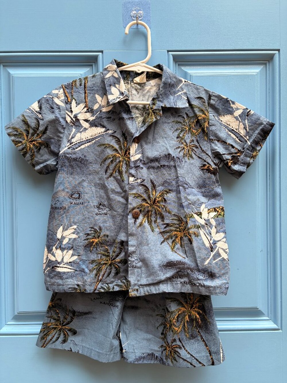 Palmwave Hawaii Blue Tropical Palm Print Shirt & Shorts Set